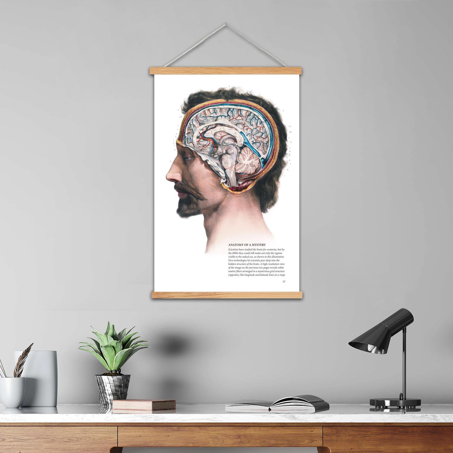 Pintura de pared enmarcada con - Art Print Framed reseña y precio